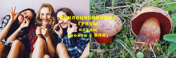 прущий лед Козловка